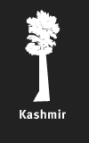 Values_tree_5_kashmir (1)
