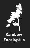 Values_tree_6_rainbow_Eucalyptus